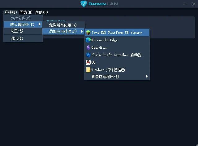 Radmin VPN 防火墙
